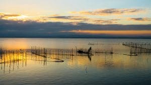 Observer un coucher de soleil à l’Albufera